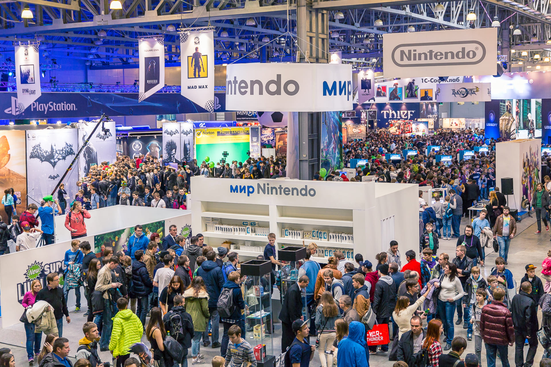 Организация выставок